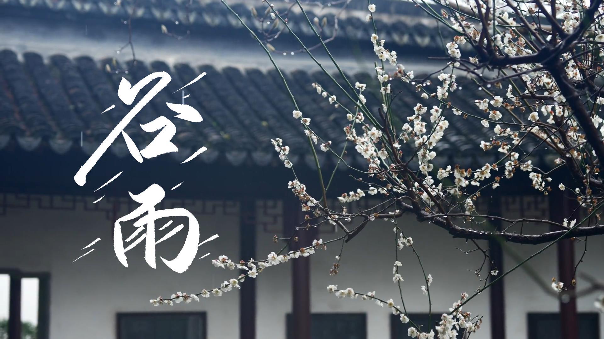 【節(jié)氣里的大美甘肅】谷雨，春天的最后一次回眸