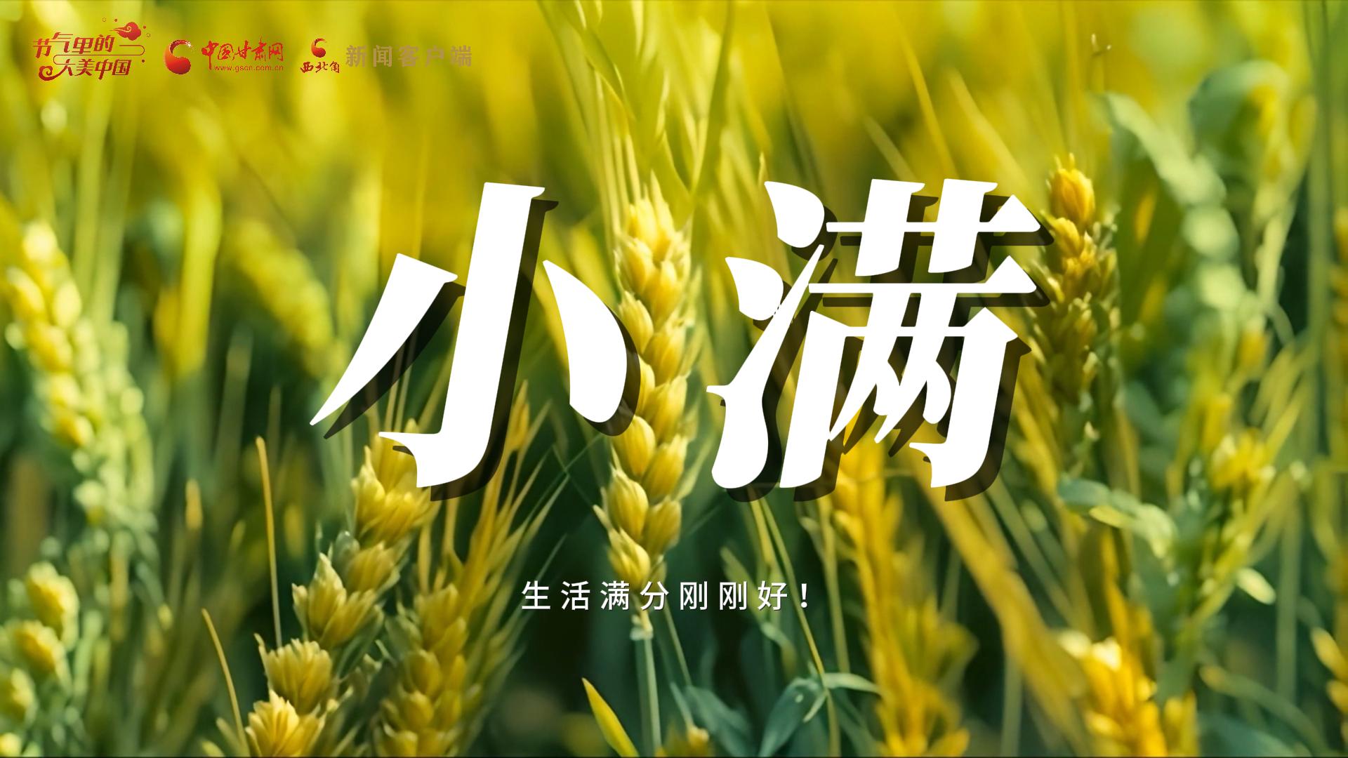 【節(jié)氣里的大美甘肅·小滿】生活滿分剛剛好！