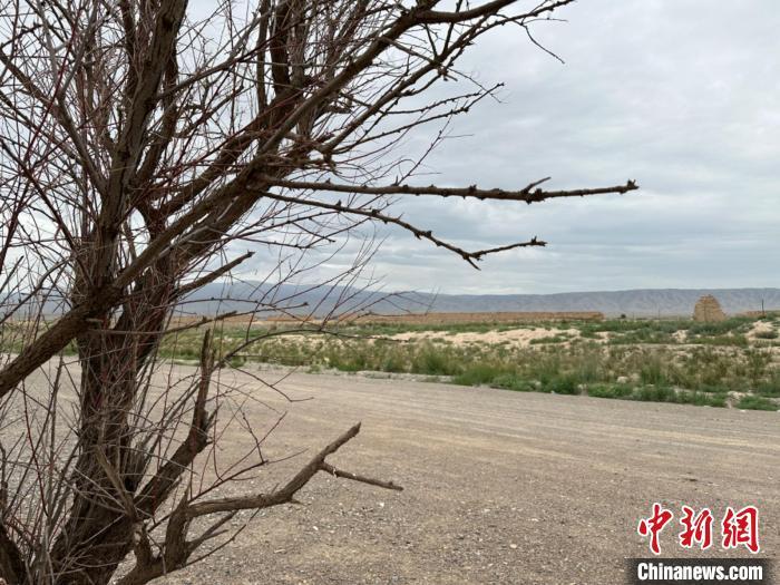 圖為位于長城墻體上的“馬面”或“敵臺”?！〈魑牟?攝