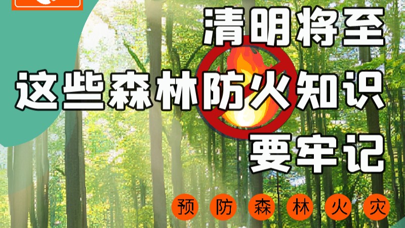 【甘快看】圖解|緊繃“安全弦”！清明，這些森林防火知識要牢記