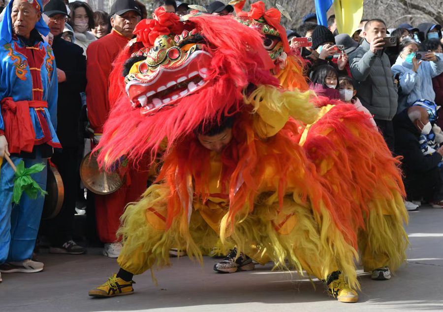 蘭州北獅表演現(xiàn)場。受訪者供圖