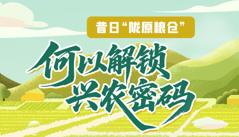 【理響中國·話隴點(diǎn)睛（3）】昔日“隴原糧倉”，何以解鎖“興農(nóng)密碼”