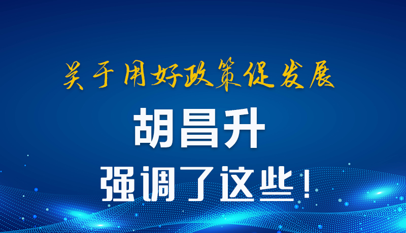 圖解|關(guān)于用好政策促發(fā)展 胡昌升強(qiáng)調(diào)了這些！