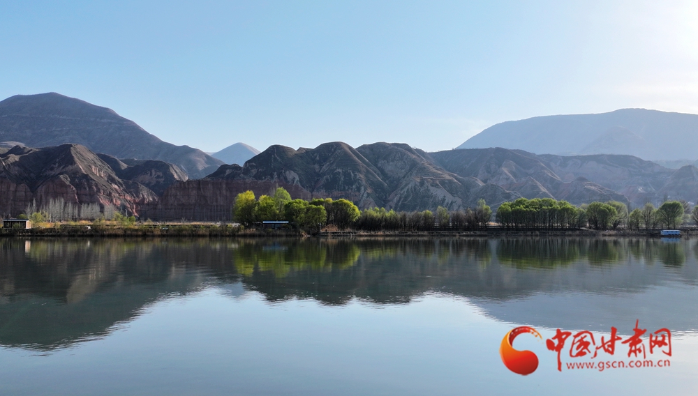 春動隴原丨永靖：風自黃河來 吹醒岸上花