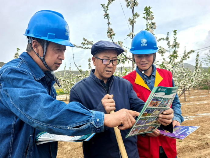 國(guó)網(wǎng)禮縣供電公司：蘋(píng)果花開(kāi)油菜香 電力護(hù)航春耕忙