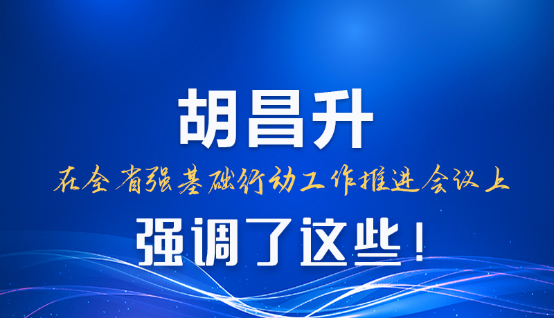 圖解|胡昌升在全省強(qiáng)基礎(chǔ)行動(dòng)工作推進(jìn)會(huì)議上強(qiáng)調(diào)了這些！